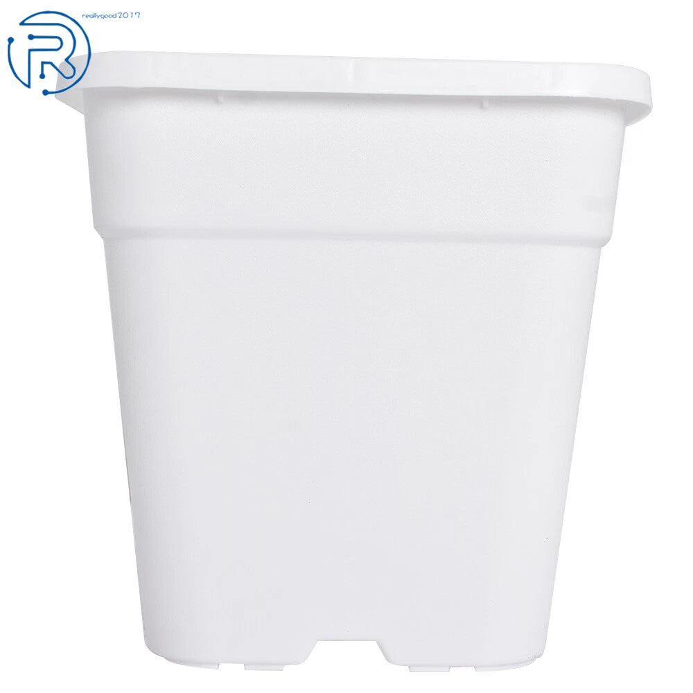 Set of 10 Square White Nursery Pots for Plants