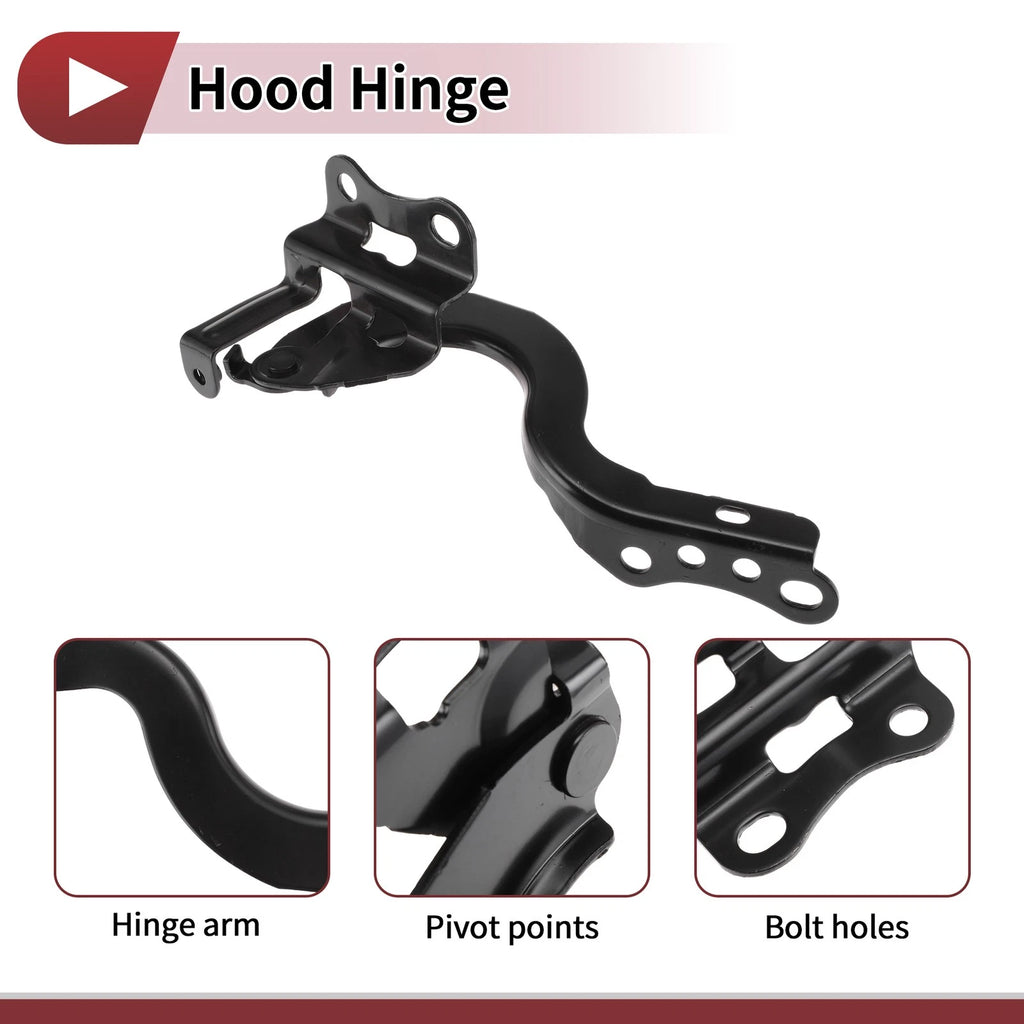 Hood Hinge for Toyota Corolla (2014) Left Side 1 pcs