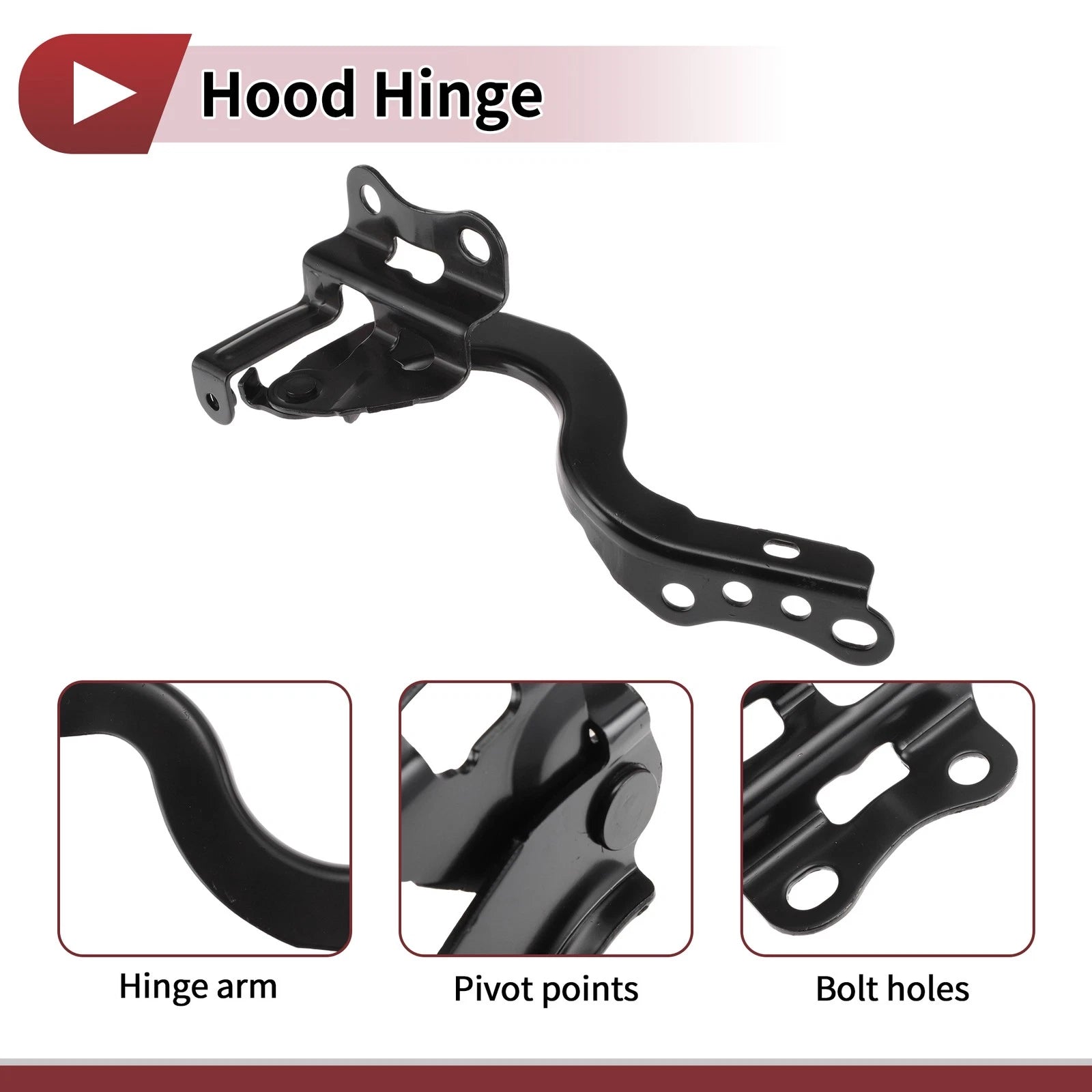 Hood Hinge for Toyota Corolla (2014) Left Side 1 pcs