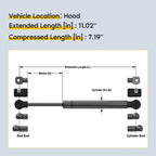 2X Rear Hatch Lift Supports for Infiniti FX35 FX45 (2003–2008)