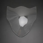 Front Headlight Lens Guard Protector for Suzuki GSX-R 600 (2014–2020) T9