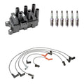 Set of 6 Denso Ignition Coil & NGK Platinum Spark Plugs for Freestar Monterey (2004–2007)
