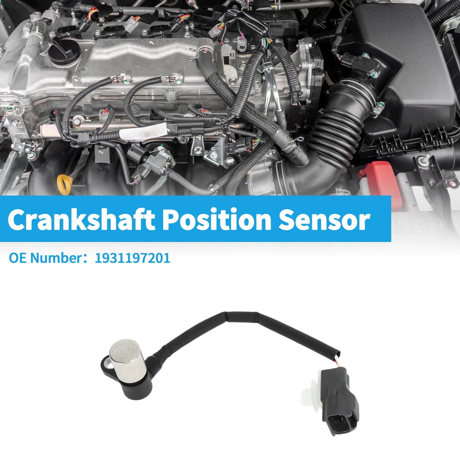 Crankshaft Position Sensor for Mitsubishi Suzuki (No. 1931197201)