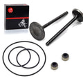 Cylinder Intake Valve for Yamaha Kodiak 400 (1993–2001)