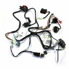 Wiring Harness CDI Coil for 200cc 250cc ATV Quad Bike Buggy Gokart (2000–2023)