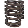 Inner Valve Spring for Caterpillar Industrial Construction (1406188)
