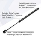 2pcs Front Hood Lift Support Gas Struts for Ford Expedition (2015–2017)