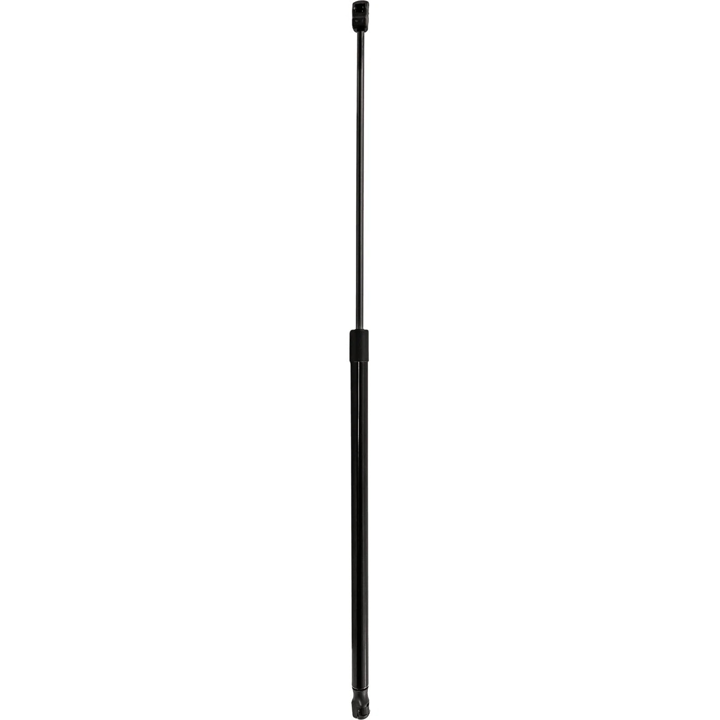 Hood Lift Supports for Coupe Sedan (Driver & Passenger Side)