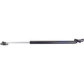 Lift Support Set for Lexus RX300 (1999–2003)