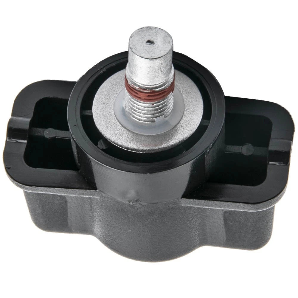 Handle and Grommet Kit for Dodge Ram 1500 2500 3500 (2002–2023)