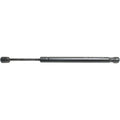 Lift Support for Kia Sedona, Hyundai Entourage (2006–2012)