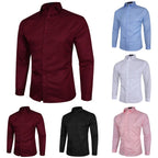 Set of 4 Slim Fit Long Sleeve Casual Shirts for Men