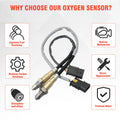 2X O2 Oxygen Sensor Bank 1 Upstream+Downstream for BMW 320i 428i 528i X1 X3 (2012–2019)