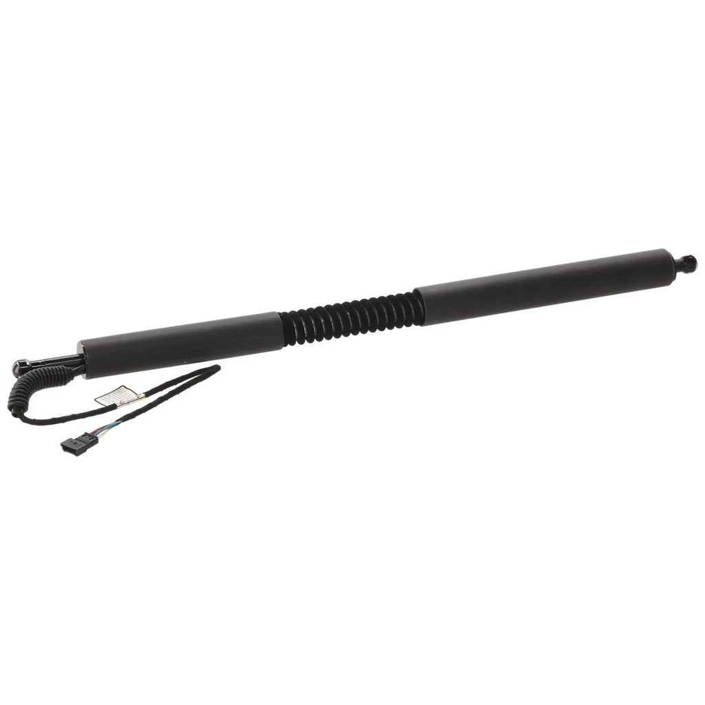 Liftgate Lift Supports for BMW 330i GT xDrive 340i 328i