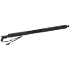 Liftgate Lift Supports for BMW 330i GT xDrive 340i 328i