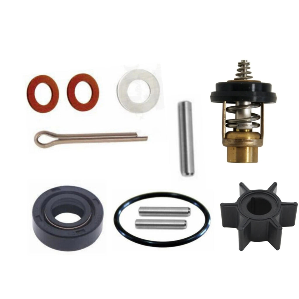 Maintenance Repair Kit for Tohatsu MFS 2HP 2.5HP 3.5HP (3GT-87500-0)