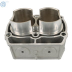 Engine Cylinder for Polaris Sportsman 800 (2008–2014) 2204393 2203911