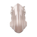 Tan Motorcycle Windshield for Daytona 660 (2024-2025)