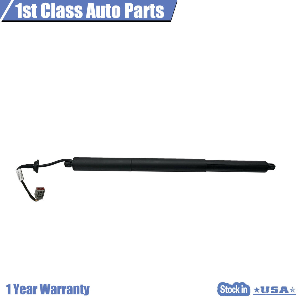 Power Hatch Lift Supports for Ford Explorer (2016–2019) - Rear Left