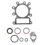 Replacement Engine Gasket Kit for 794150 792621 69719180