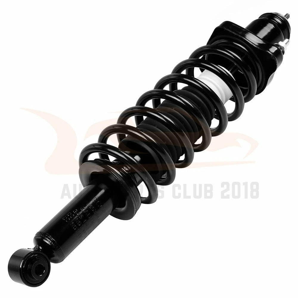 Rear Complete Strut Assembly for Jeep Patriot (2007-2009)