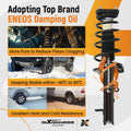 Quick Complete Rear Strut Spring Assembly for Hyundai Elantra (2000–2006)