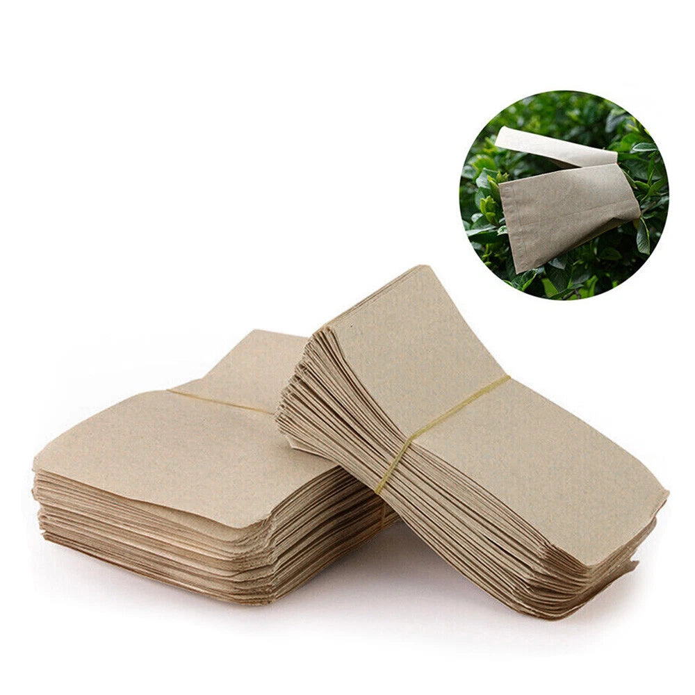 200PCS Coin Envelopes for Cash Check Ticket Salary Key Post Office