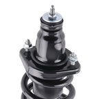 Set of 4 Rear Strut w/Spring Control Arms for Honda CR-V (2000–2006)