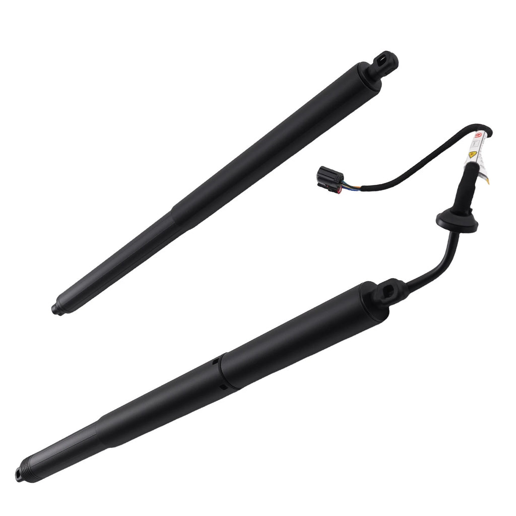 Hatch Lift Support Pair for Chevrolet Equinox (2018–2022) 84569355