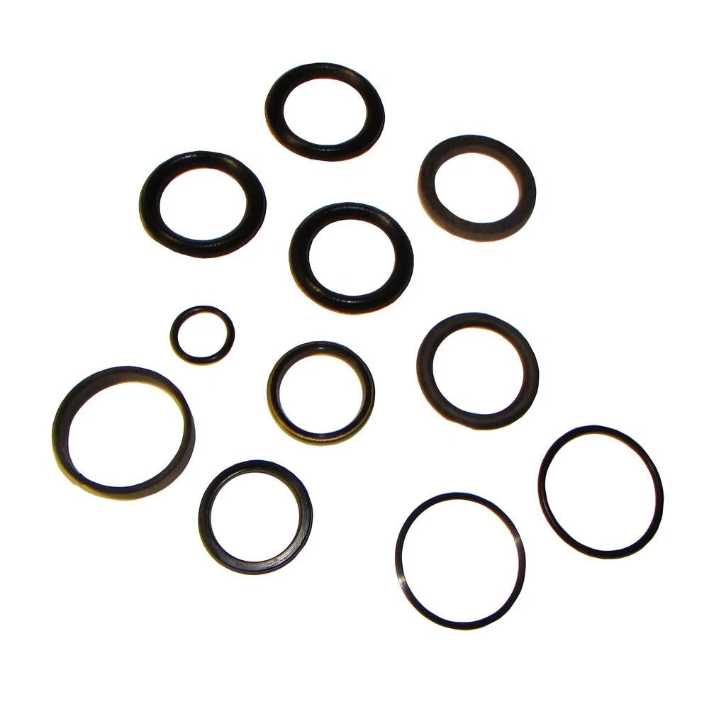 Hydraulic Cylinder Seal Kit for John Deere (1401-1248)