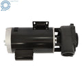 2-Speed Spa & Hot Tub Pump for Various Models (230V)