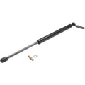 Trunk Lid Lift Supports for Toyota Celica (2000–2005)