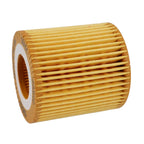 Fuel Filter for Ford Engine Oil 2.2/3.2 TDCi Diesel (BB3Q-6744-BA)