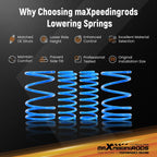 2" Lowering Springs for Acura RSX (2002-2004)