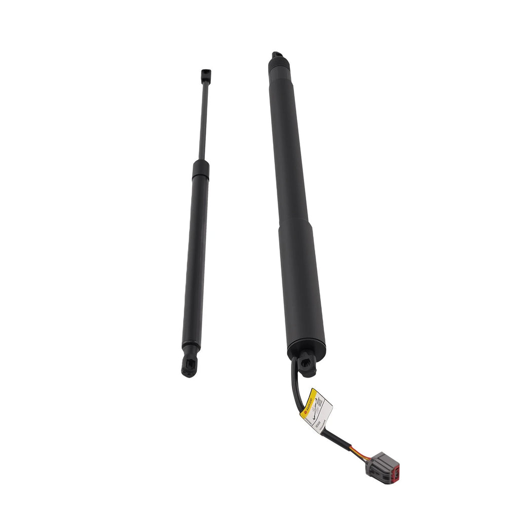 2X Tailgate Lift Support Strut for Ford Edge Lincoln MKX (2011)