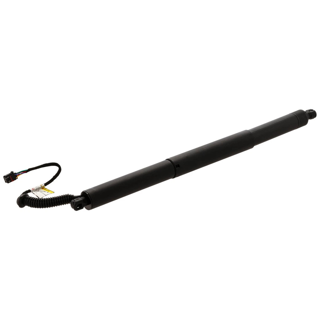 Liftgate Lift Supports for Audi Q5 (2018–2023)