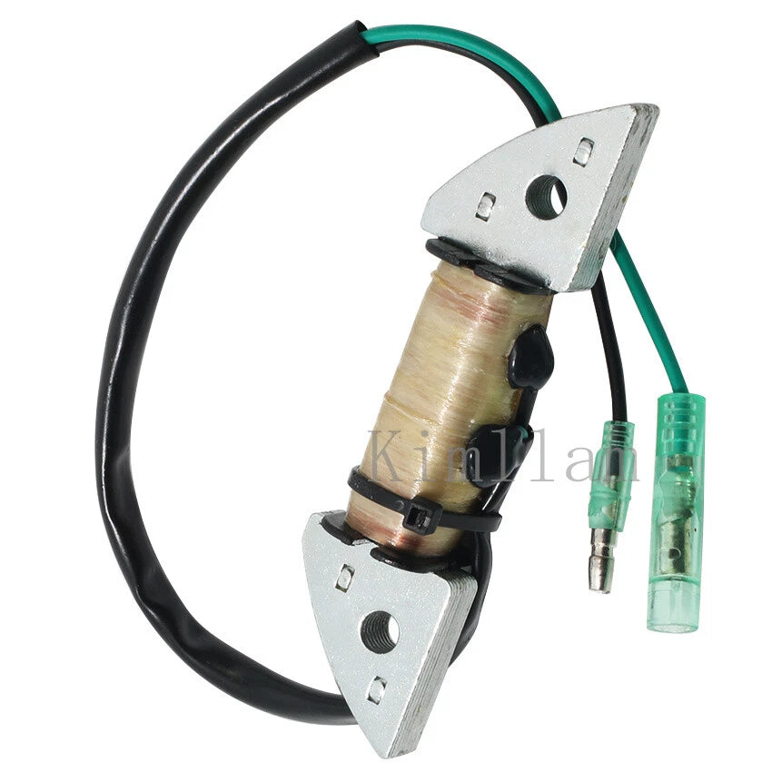 Magneto Stator Coil for Nissan Outboard NS6B NS8B NS9.8B (2002–2003)