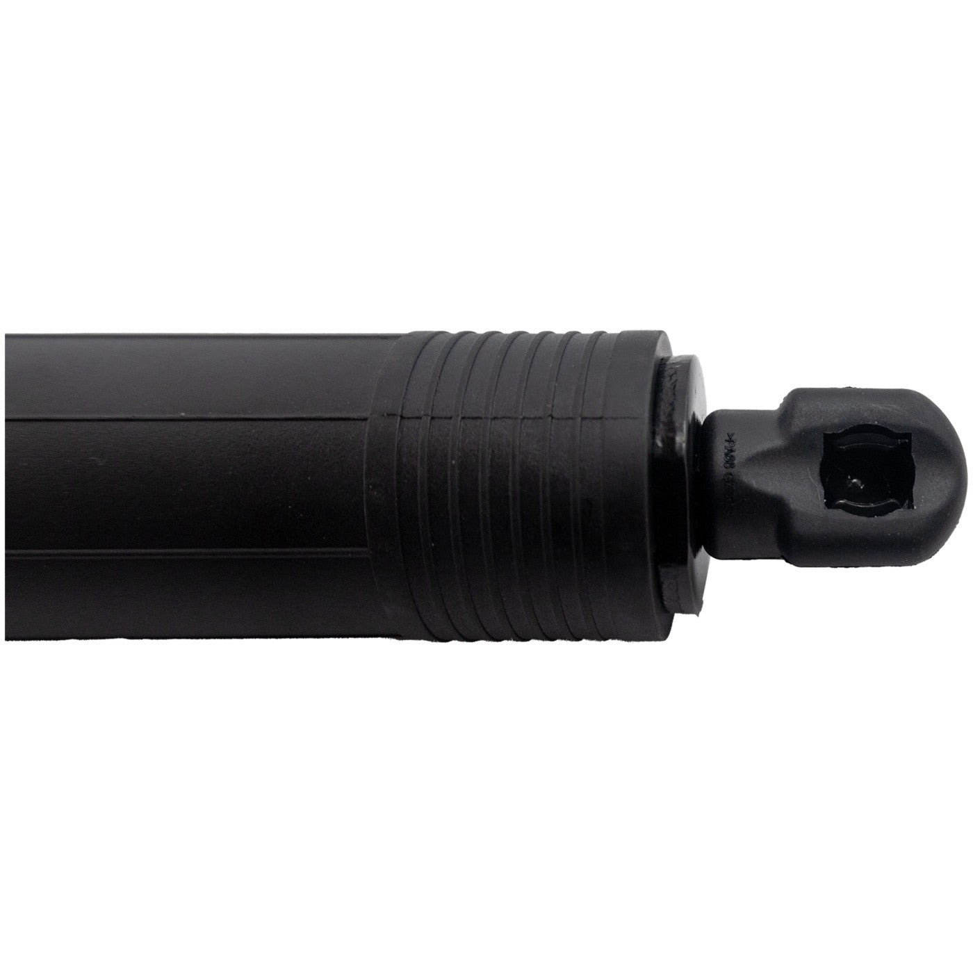 Liftgate Lift Supports for Tesla S (2012–2020)