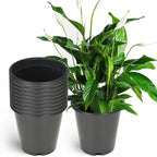 Set of 10 Gallon Nursery Pots for Garden Planting (Plastic)