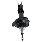1x Rear Shocks Struts for Chevrolet Monte Carlo (2000–2007)
