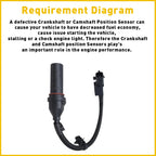 Crankshaft Position Sensor for Hyundai Elantra Accent Tucson Kia