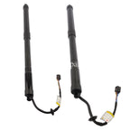 Set of 2 Tailgate Lift Supports for Hyundai Santa Fe (2013–2019)