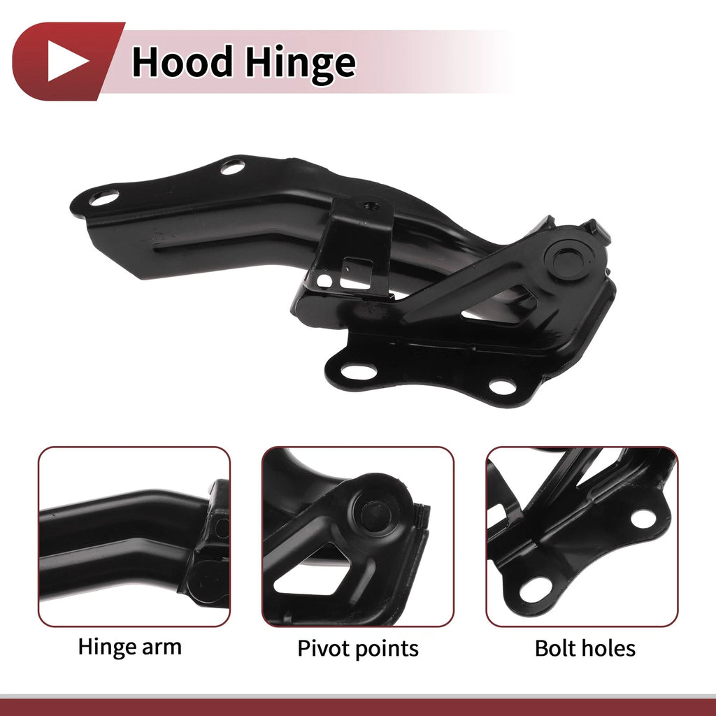 Hood Hinge for Toyota Avalon (2018–2024) Left Side, 1 pcs