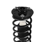 Front Struts with Coil Springs for Chevy Equinox GMC Terrain (2007-2017)
