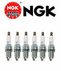 6PC NGK Laser Platinum Spark Plug Set for Honda Acura V6 (Exact OEM)