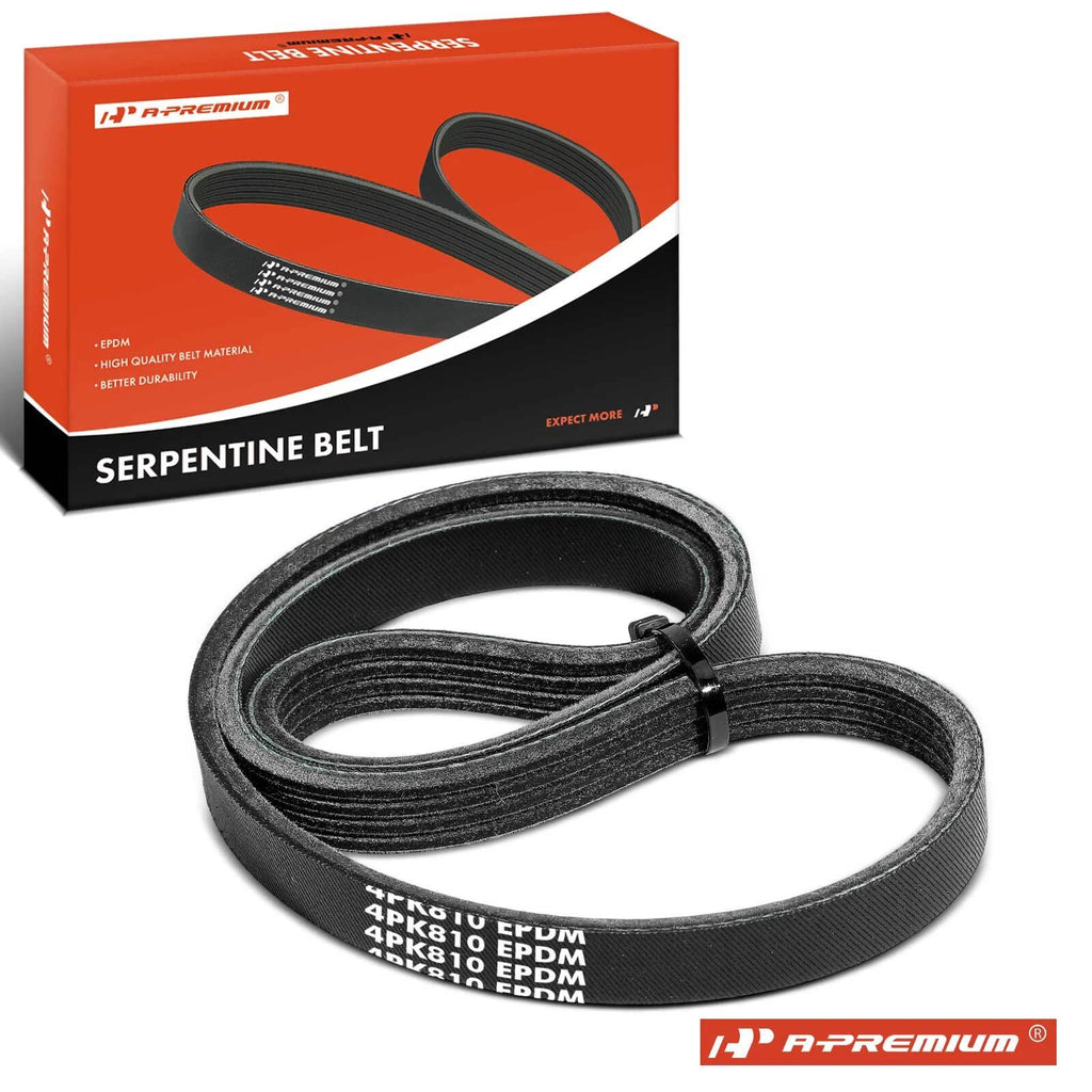 Serpentine Belt for Nissan Sentra (1999)