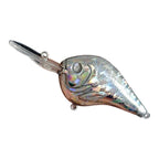 Reflective Holographic Lure for Fishing