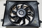 Radiator Fan Assembly for TYC 601090-G (Fits )