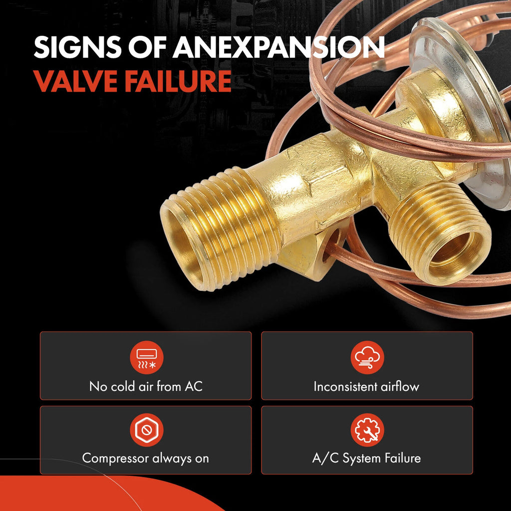 A/C Expansion Valve for Chevy Beretta Corsica Buick Skylark (1992–1993)