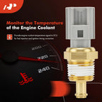Engine Coolant Temperature Sensor for Ford F150, Taurus, Mercury